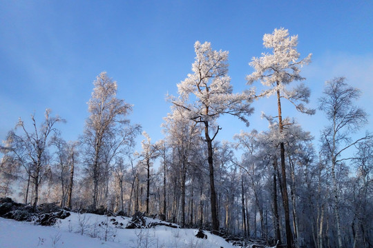 大兴安岭林海雪原