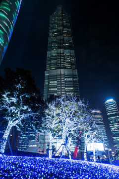 金茂大厦夜景