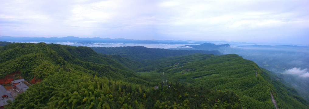 翠竹林全景大图