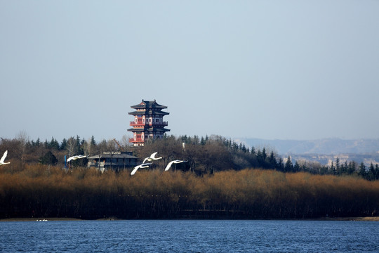 天鹅湖风光