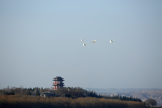 天鹅湖风光