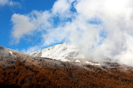 新疆的雪山蓝天和白云