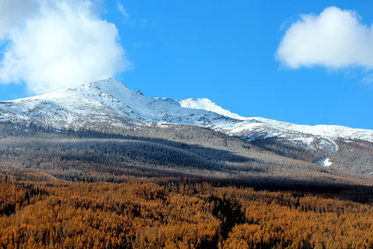 美丽新疆喀纳斯雪山