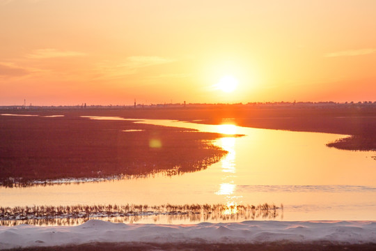 湿地夕阳红