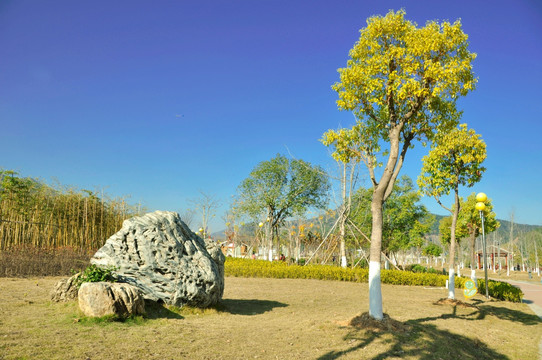 藍天綠樹景觀石頭
