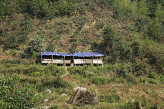 建在山上的羊圈