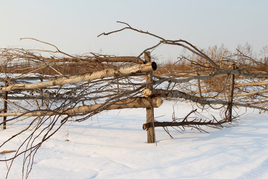 雪地栅栏