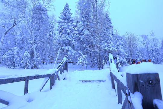 冰雪旅游