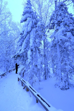 冰雪旅游