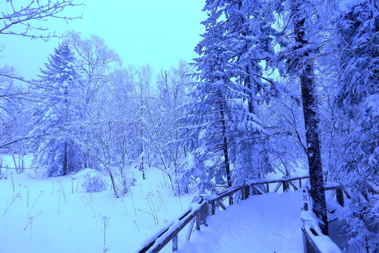 冰雪旅游