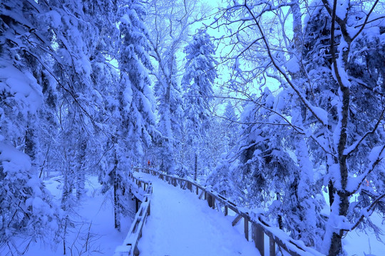 冰雪旅游