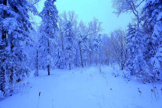 冰雪旅游