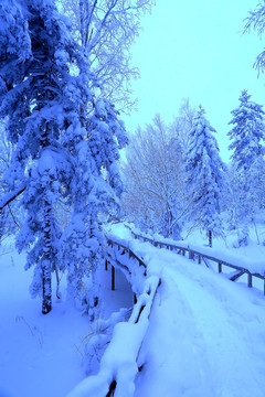 冰雪旅游