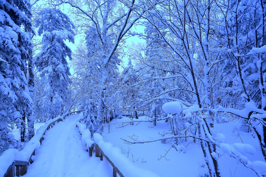 冰雪旅游