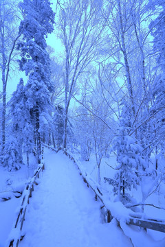 冰雪旅游