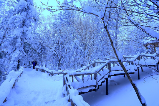 冰雪旅游