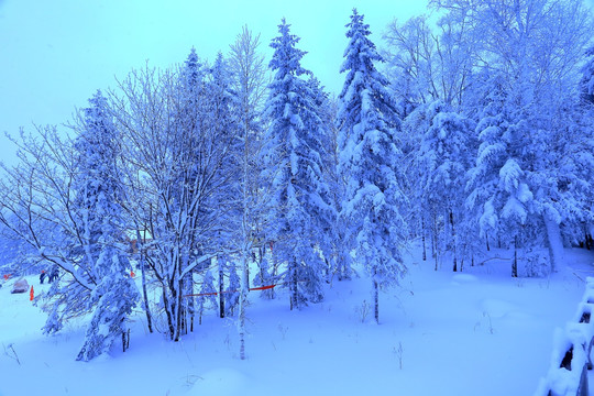 冰雪旅游