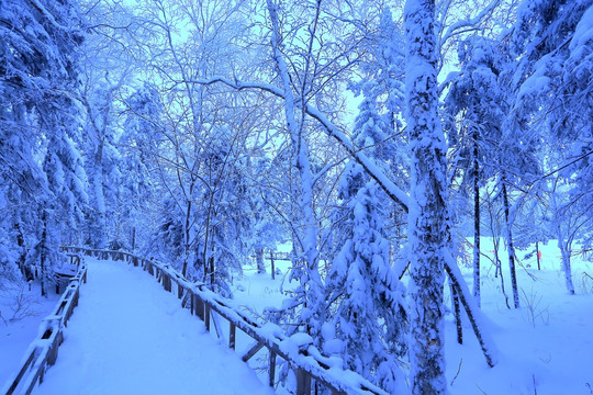 冰雪旅游