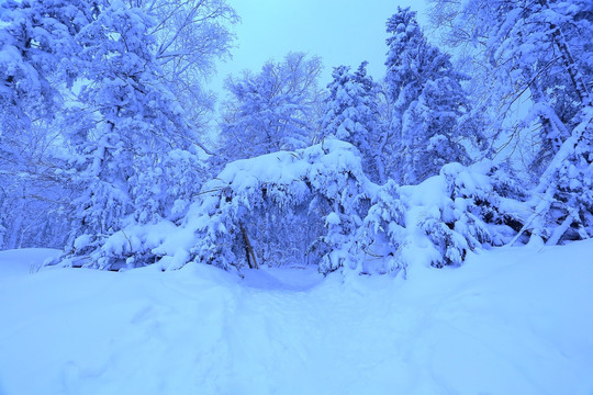 冰雪旅游