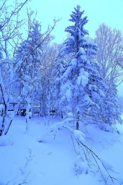 冰雪旅游