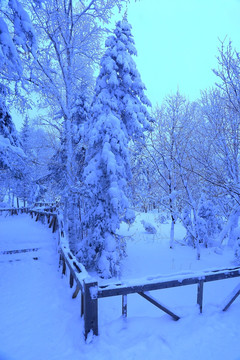 冰雪旅游