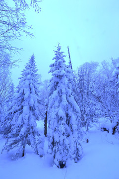 冰雪旅游