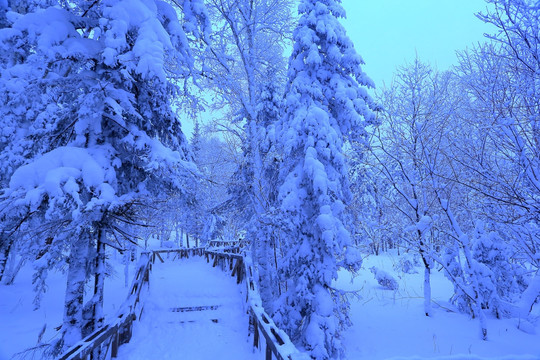 冰雪旅游