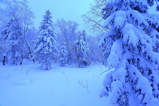 冰雪旅游