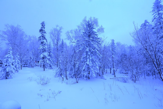 冰雪旅游