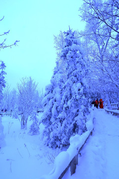 冰雪旅游