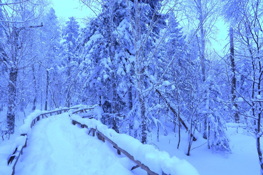 冰雪旅游