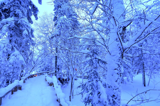 冰雪旅游