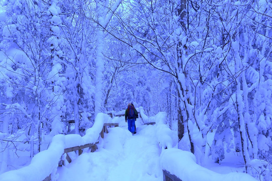 冰雪旅游