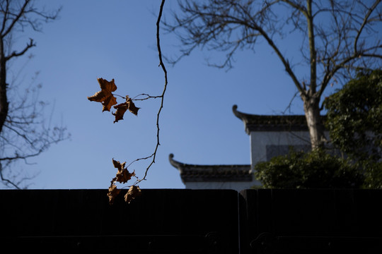 岳麓书院