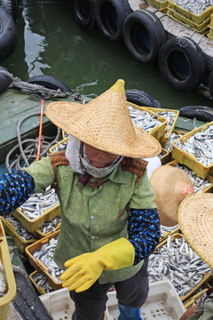 海南渔妇