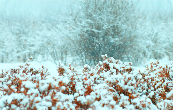 大雪纷飞