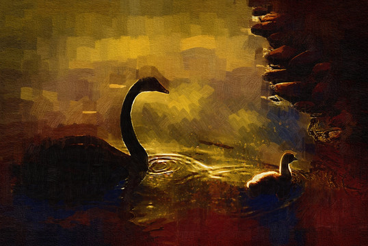 天鵝油畫(huà) 裝飾畫(huà) 無(wú)框畫(huà) 油畫(huà)