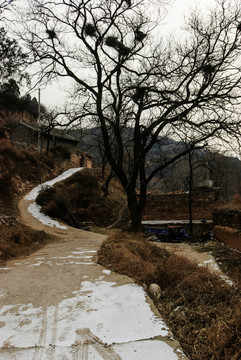 大河村雪景