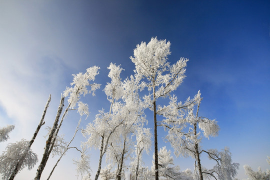 林海雪原冰雪风光