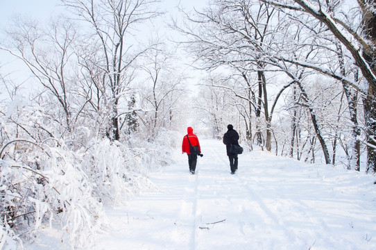 赏雪 踏雪 雪景