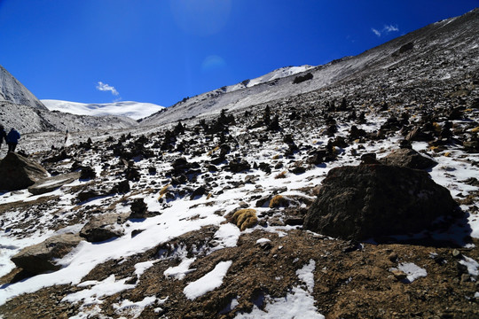 雪山