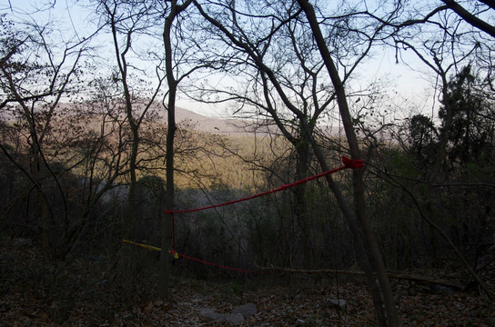 滁州琅琊山的户外休闲健身山路