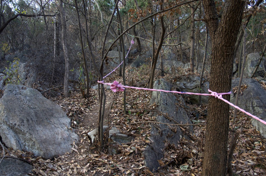 滁州琅琊山的户外休闲健身山路