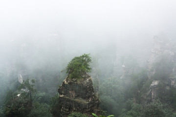 张家界云雾山林