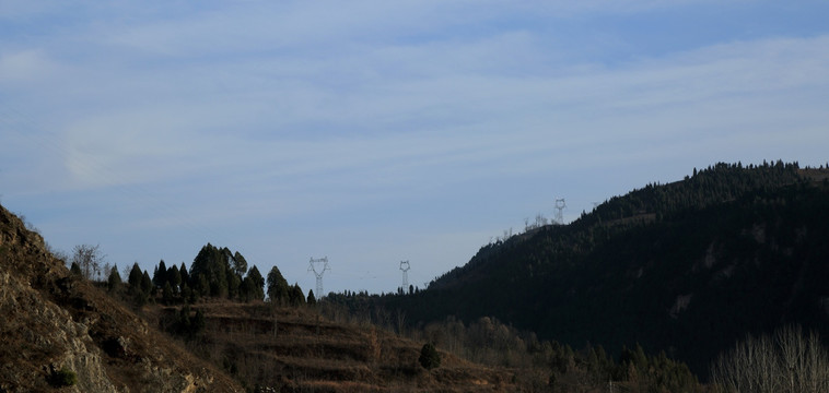 原野