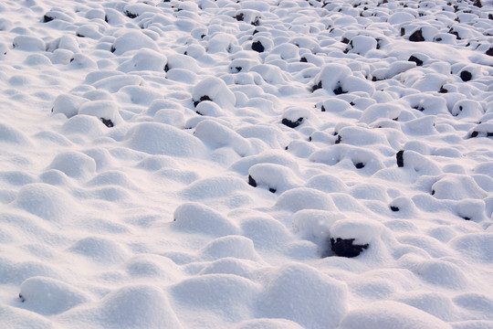 雪地