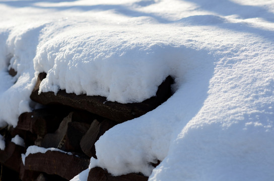 雪地