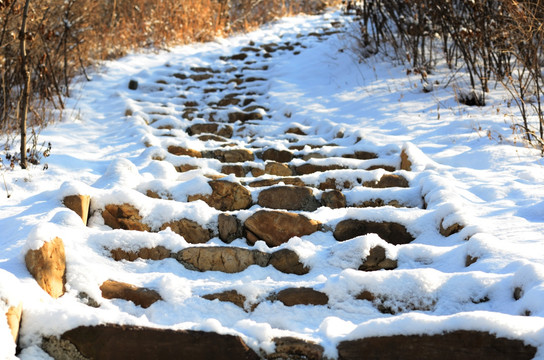 雪中山路台阶