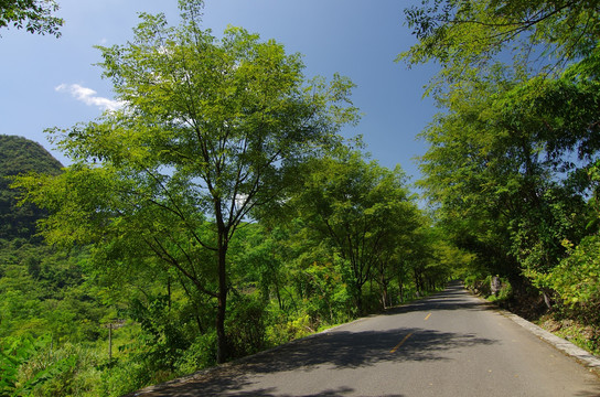 乡村公路