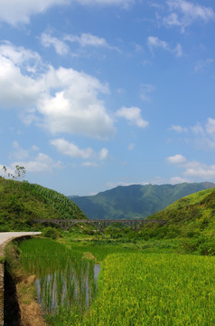 田园风景